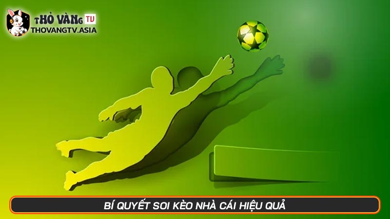 Giải mã kèo nhà cái - GMKNC | Kỹ thuật dân cá cược phải biết - Hình số 6 Bí quyết soi kèo nhà cái hiệu quả