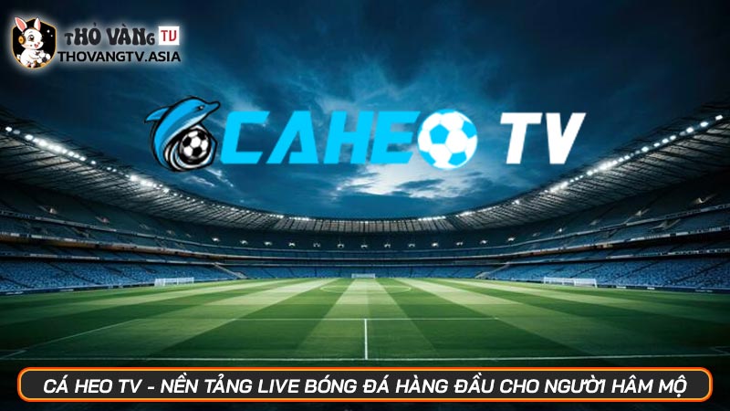 Cá heo TV