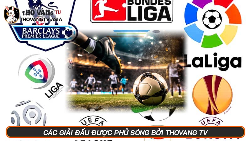 ThovangTV | Kênh trực tiếp bóng đá - Link xem bóng đá số 1 - Hình số 19 Các giải đấu được phủ sóng bởi ThovangTV