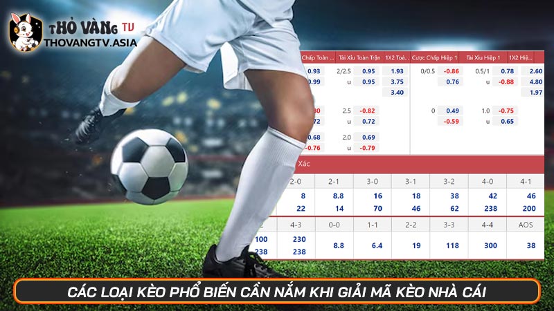 Giải mã kèo nhà cái - GMKNC | Kỹ thuật dân cá cược phải biết - Hình số 5 Các loại kèo phổ biến cần nắm khi giải mã kèo nhà cái