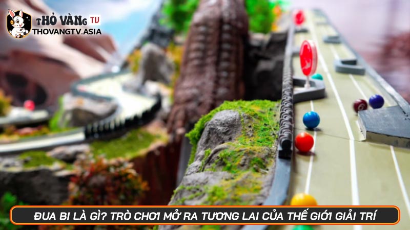 Đua bi là gì? Trò chơi mở ra tương lai của thế giới giải trí