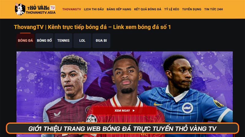 Giới thiệu trang web bóng đá trực tuyến Thỏ Vàng TV - Hình số 2 Giới thiệu trang web bóng đá trực tuyến Thỏ Vàng TV