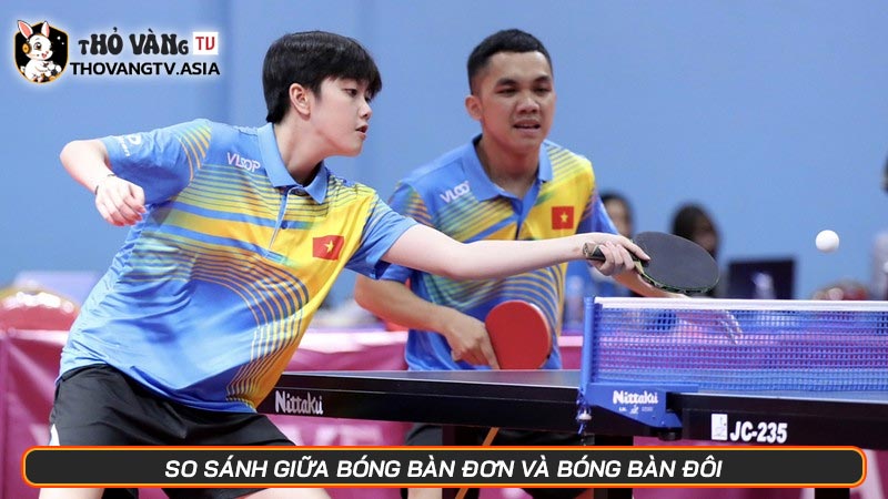 Luật chơi bóng bàn và câu chuyện về tin thần thể thao bất diệt - Hình số 3 So sánh giữa bóng bàn đơn và bóng bàn đôi