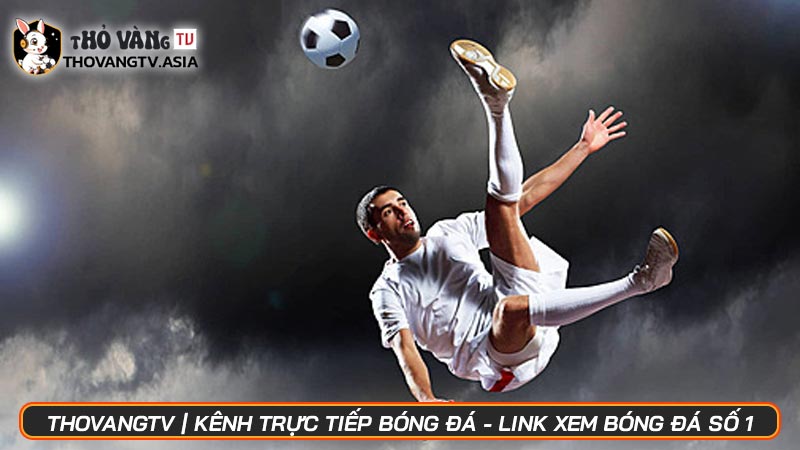 ThovangTV | Kênh trực tiếp bóng đá - Link xem bóng đá số 1 - Hình số 16 ThovangTV | Kênh trực tiếp bóng đá - Link xem bóng đá số 1
