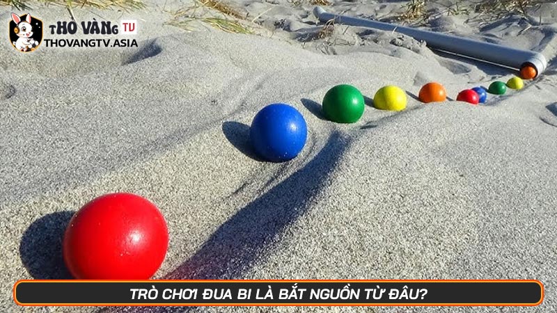 Đua bi là gì? Trò chơi mở ra tương lai của thế giới giải trí - Hình số 5 Trò chơi đua bi là bắt nguồn từ đâu?