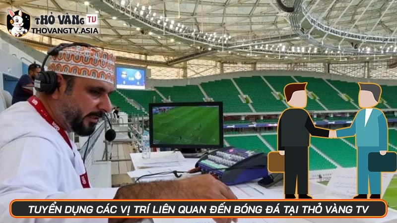 Tuyển dụng các vị trí liên quan đến bóng đá tại Thỏ Vàng TV - Hình số 2 Tuyển dụng các vị trí liên quan đến bóng đá tại Thỏ Vàng TV