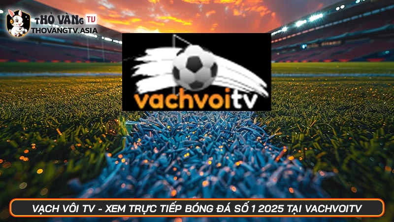 Vạch Vôi TV