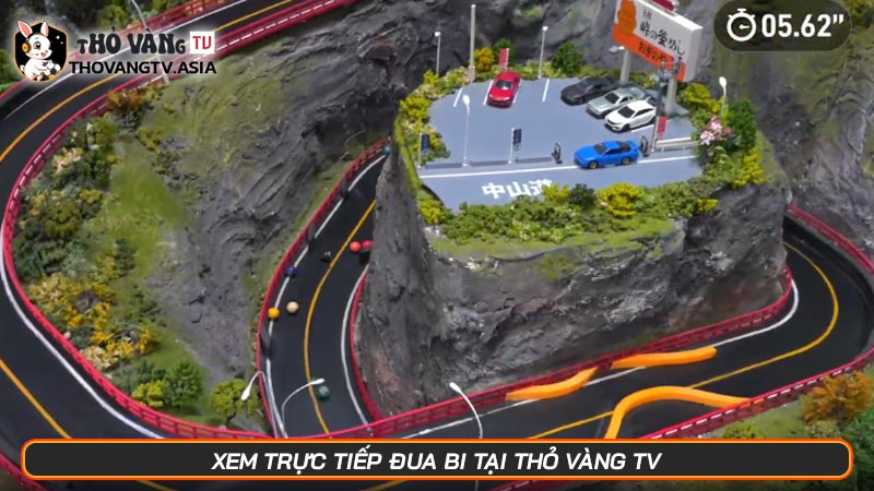 Đua bi là gì? Trò chơi mở ra tương lai của thế giới giải trí - Hình số 6 Xem trực tiếp đua bi tại Thỏ Vàng TV